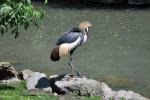 2013 07 06 beauval 231